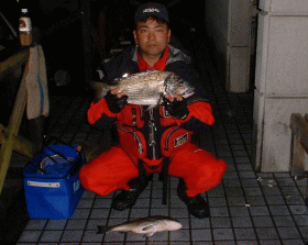 �S�Wcm�̍���