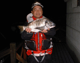 �w�a��y�x���茘���S�U����