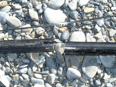 �|�b�L���ł��E�E�E