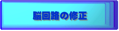 脳回路の修正