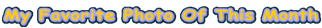 My Favorite Photo Of This Month