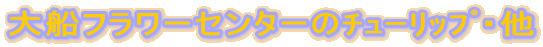��D�t�����[�Z���^�[�����د�߁E��