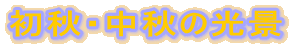 ���H�E���H�̌��i