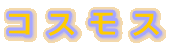 �R �X �� �X