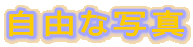 ���R�Ȏʐ^