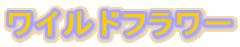 ���C���h�t�����[