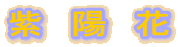 ���@�z�@��
