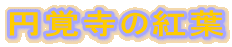 �~�o���̍g�t