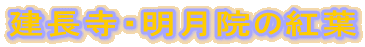 �������E�����@�̍g�t