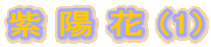 �� �z �� (1)