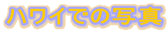 �n���C�ł̎ʐ^