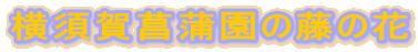 ���{��Ҋ����̓��̉�