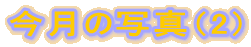 �����̎ʐ^�i2�j