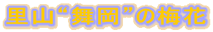 ���R�g�����h�̔~��