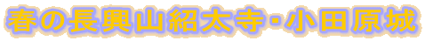 �t�̒����R�Б����E���c����