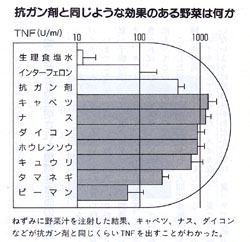 抗がん剤と同じ効果を示す野菜