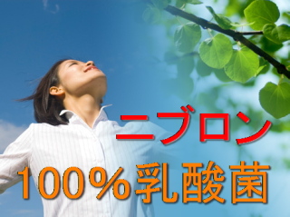 100％乳酸菌ニブロンの購入サイト