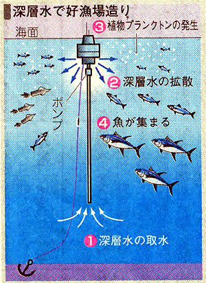 �[�w���ōD���ꑢ��