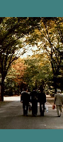 121097b.png