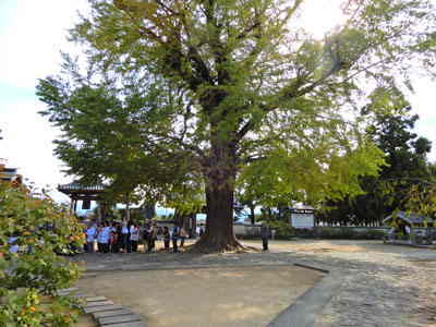 四国八十八カ所　地蔵寺