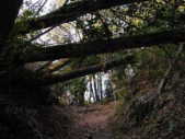 熊野古道　町石道