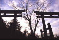 高野山　町石道