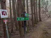 高野山　町石道
