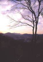 高野山　町石道
