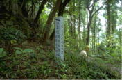 熊野古道　鹿ヶ瀬峠