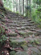 熊野古道　伊勢路　松本峠