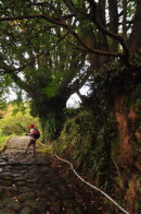 熊野古道　伊勢路　松本峠