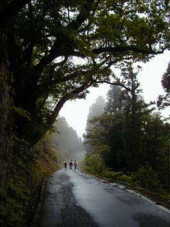熊野古道　小辺路