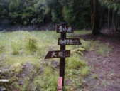 熊野古道　小辺路　伯母子峠