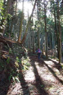 世界遺産　高野参詣道　三谷坂