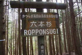 熊野古道　高野山参詣道　三谷坂～町石道