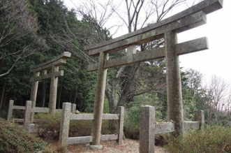 熊野古道　高野山参詣道　三谷坂～町石道