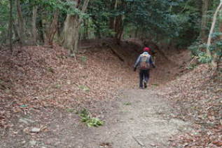 熊野古道　高野山参詣道　三谷坂～町石道