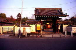 新熊野神社