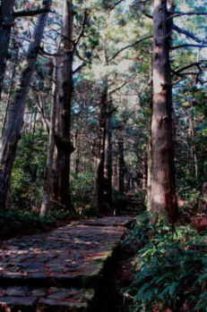 熊野古道　多富気王子