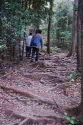 熊野古道　中辺路