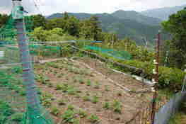 熊野古道　針地蔵尊