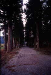 熊野古道　大日越え