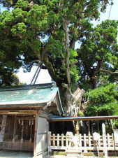 熊野古道　大辺路　串本町　潮崎本之宮