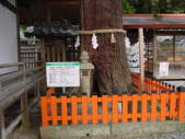 熊野古道　大辺路　日神社