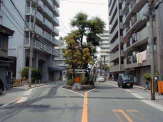 熊野古道　大阪　楠大明神