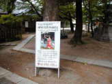 熊野古道　大阪　高津神社