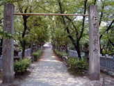 熊野古道　大阪　高津神社