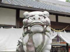 大和街道　西田中神社