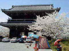 大和街道　根来寺