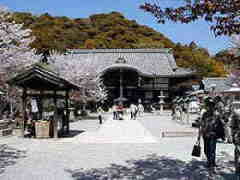 大和街道　根来寺